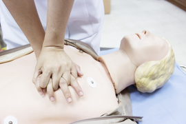 Standard 12 Basic Life Support